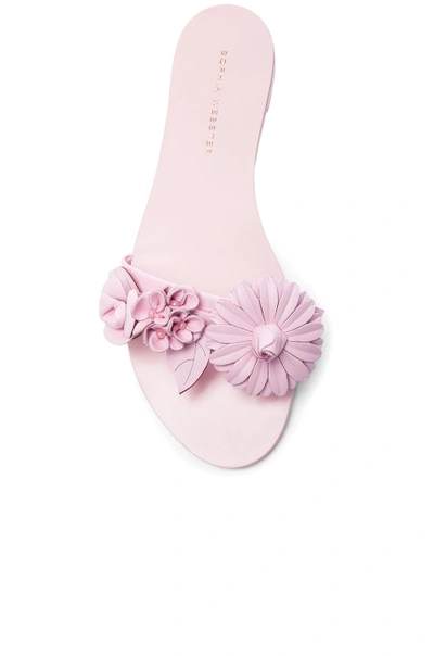 Shop Sophia Webster Leather Lilico Sandals In Pink