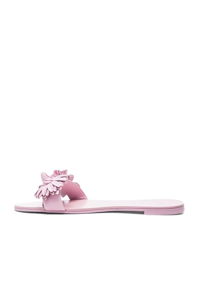 Shop Sophia Webster Leather Lilico Sandals In Pink