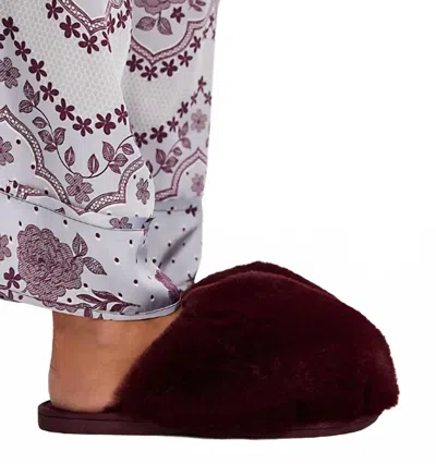 Free People Snowball Slippers In Cabernet In Animal Print
