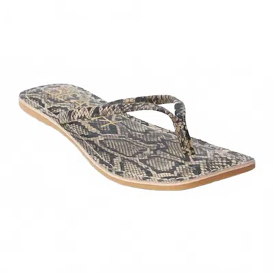 Matisse Women's Beach Bungalow Sandal In Brown Snake In Multi