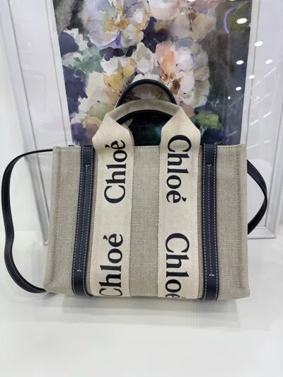 Chloé Chloe Women Pre-loved Bag Very Good Condition In Multi