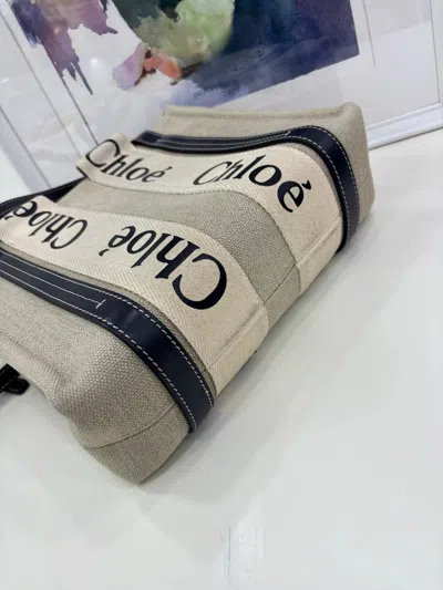 Chloé Chloe Women Pre-loved Bag Very Good Condition In Multi