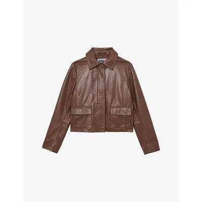 Reiss Womens Drew Classic-collar Leather Jacket Mocha Brown In Brown