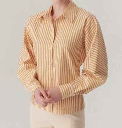 Exquise Emersyn Shirt In Brown In Orange