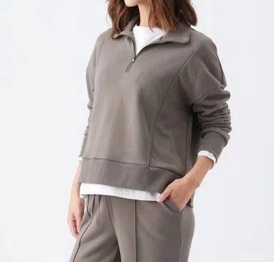Ripe Terry Nursing Sweatshirt In Earth In Gray
