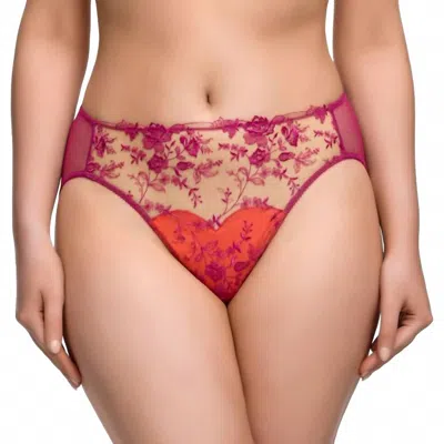 Dita Von Teese Victresse Hi Cut Brief In Rubine In Pink