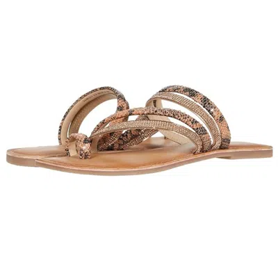 Chinese Laundry Solar Sandals Women's Brown Leather Toe Loop Slip On Gal1062 In Brown