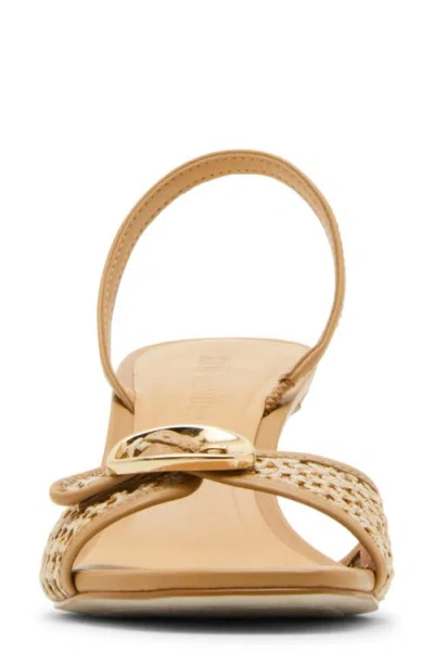 Steve Madden Henrietta Slingback Sandal In Brown