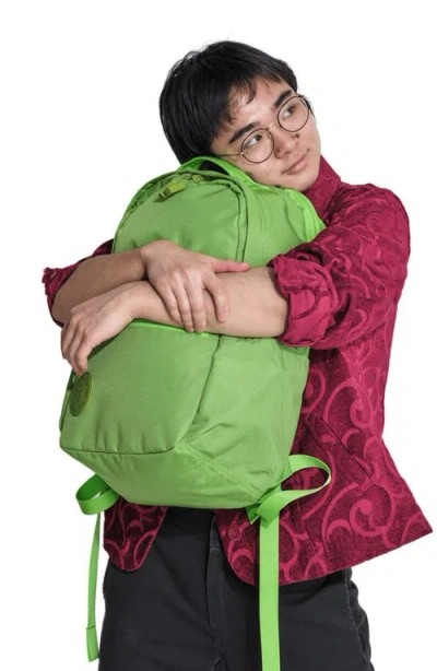 Baboon To The Moon City Water Repellent Backpack In Green