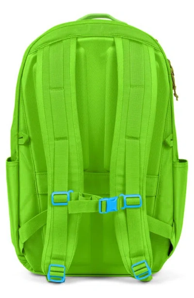 Baboon To The Moon City Water Repellent Backpack In Green