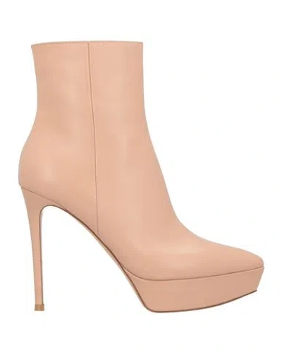 Gianvito Rossi Woman Ankle Boots Blush Size 12 Calfskin In Pink
