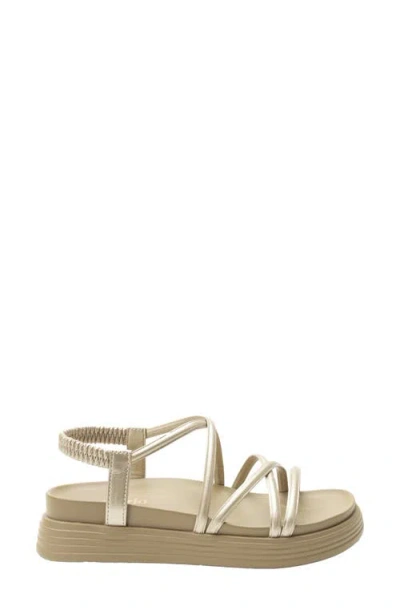 Alegria By Pg Lite Audie Platform Sandal In Gold