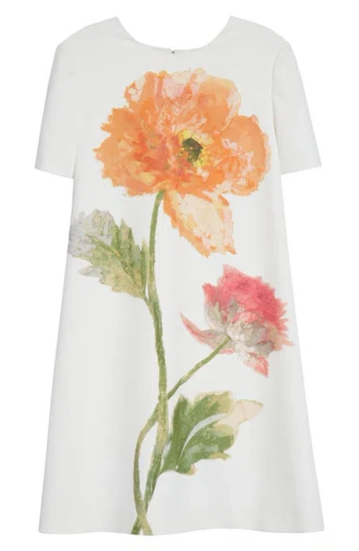 Carolina Herrera Poppy Print Stretch Crepe A-line Minidress In Multi