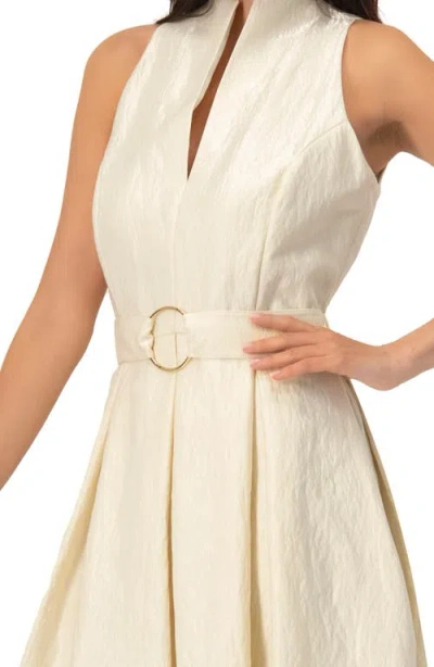 Ivonne Textured Midi Dress With Belted Waist In Neutral