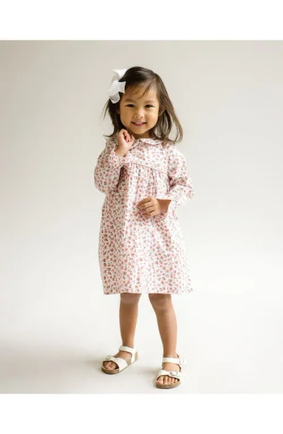 Cuclie Colette Peter Pan Collar Dress In Pink