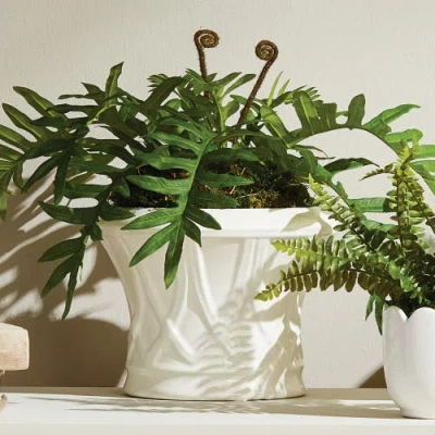 Napa Home & Garden Hillingdon Tapered Cachepot In White