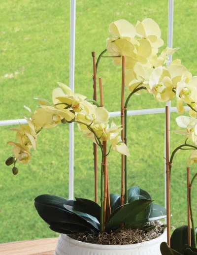 Napa Home & Garden Phalaenopsis Orchid Artificial Plant Drop-in In Multi