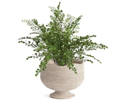 Napa Home & Garden 9.25" X 10.75" Woven Burma Rattan Scalloped Edge Decorative Footed Cachepot Plant In Neutral
