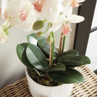 Napa Home & Garden Phalaenopsis Orchid Artificial Plant Drop-in In Pink