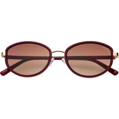 Freyrs Eyewear Jordan Oval Sunglasses In Brown