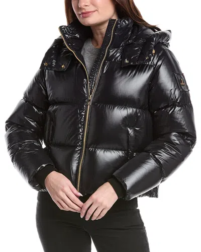 Moose Knuckles Down Puffer Jacket In Black