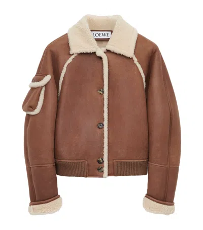 Loewe Lambskin Shearling-collar Bomber Jacket In Brown