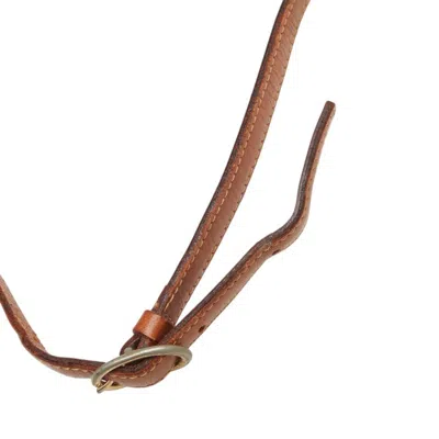 Pre-owned Celine Brown Pvc Leather Shoulder Bag ()