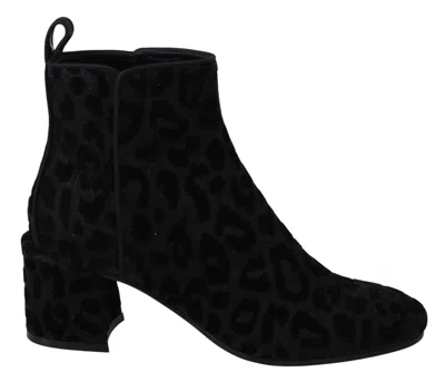 Dolce & Gabbana Black Leopard Short Boots Zipper Women's Shoes In Black