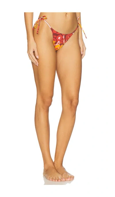 Tropic Of C Praia Bikini Bottom In Multi