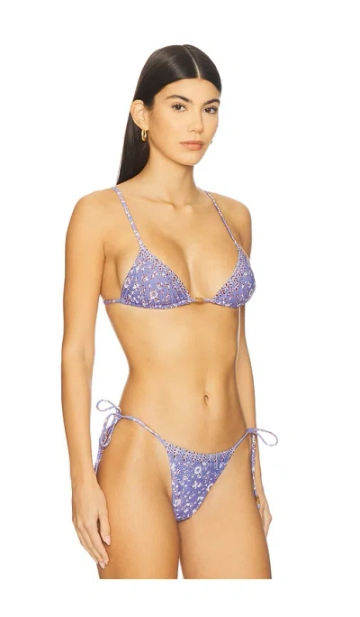 Tropic Of C Equator Triangle Bikini Top In Purple
