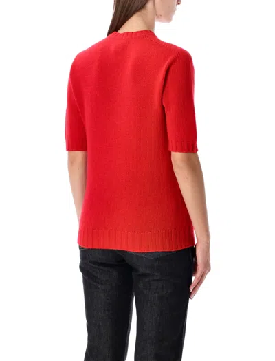 Fabiana Filippi Short Sleeve Cashmere Knit Sweater In Red