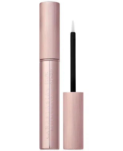 Anastasia Beverly Hills Brow Genius Serum