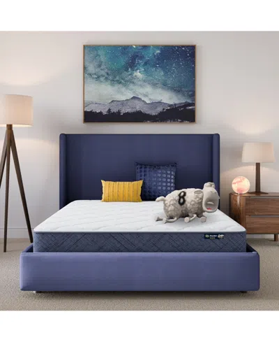 Serta Dream Haven 8" Medium Tight Top Mattress In A Box In Transparent