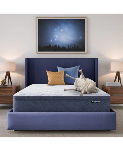 Serta Dream Haven 12" Plush Pillow Top Mattress In A Box In Transparent