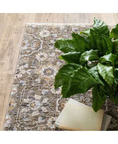 Oriental Weavers Maharaja 532d Gray And Tan 2' X 3' Area Rug In Multi