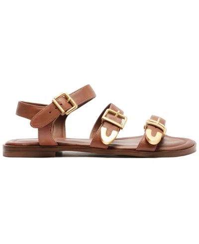 Arezzo Women's Paige Flat Sandals In Brown