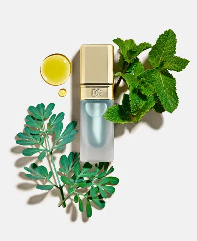 Dolce & Gabbana Mint Oil Lip Plumper In Transparent