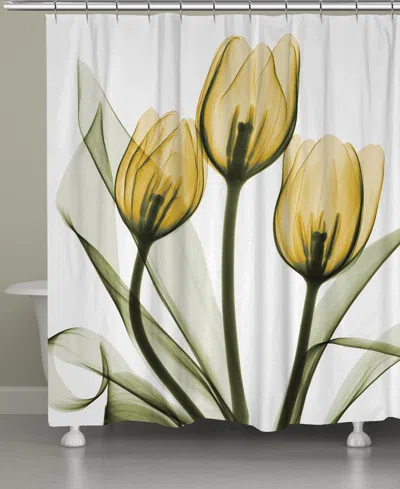 Laural Home Golden Tulips Shower Curtain, 71" X 72"
