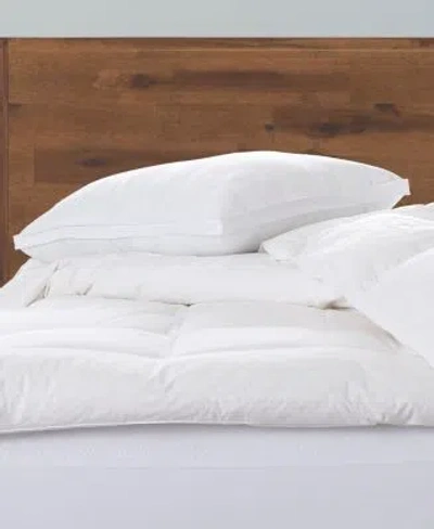 Ella Jayne Gusseted Firm Plush Down Alternative Side Back Sleeper Pillow In White