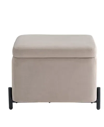 Lifestyle Solutions 24" Velvet Kyoto Small Storage Ottoman In Brown