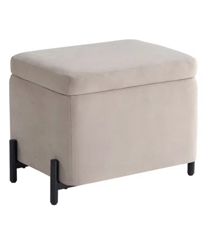Lifestyle Solutions 24" Velvet Kyoto Small Storage Ottoman In Brown