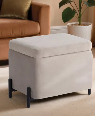 Lifestyle Solutions 24" Velvet Kyoto Small Storage Ottoman In Brown