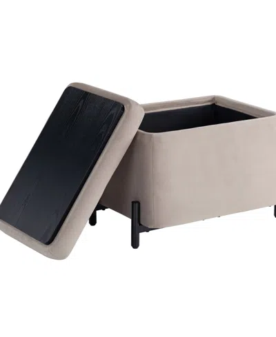 Lifestyle Solutions 24" Velvet Kyoto Small Storage Ottoman In Brown