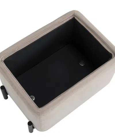 Lifestyle Solutions 24" Velvet Kyoto Small Storage Ottoman In Brown