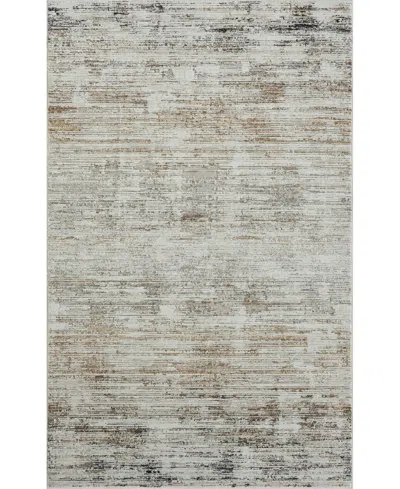 Lr Home Bienne Biena288 4' X 6' Area Rug
