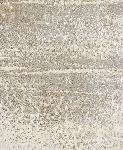 Feizy Aura R3739 1'8" X 2'10" Area Rug