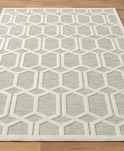 Lr Home Vance-107 5' X 7' Outdoor Area Rug In Multi