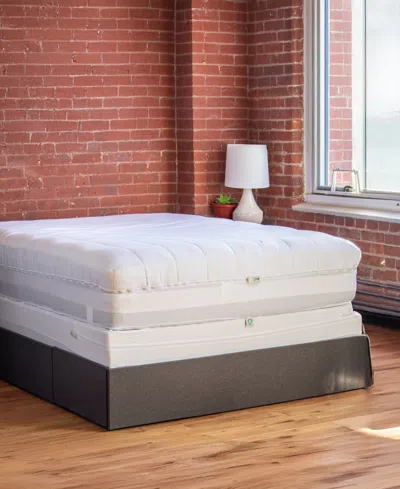 Cleanbrands Pro Zippered Box Spring Encasement, King In White