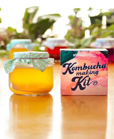 Farm Steady Kombucha Making Kit In Pink