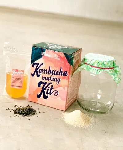 Farm Steady Kombucha Making Kit In Pink
